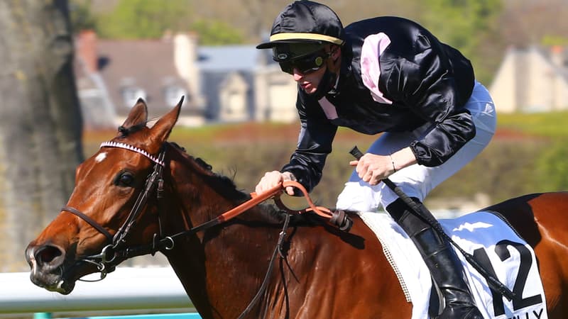 Une pouliche appartenant à Antoine Griezmann au départ du Prix de Diane Longines