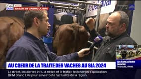 Salon de l'agriculture 2024: rencontre avec un éleveur du Pas-de-Calais