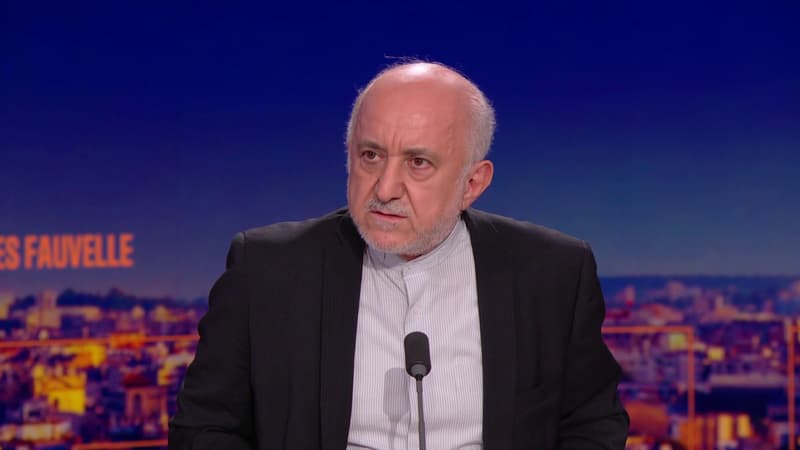 L'ambassadeur d'Iran souhaite "le retour dès que possible" de Cécile Kohler et Jacques Paris en France