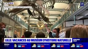 Lille: des ateliers découverte au Musée d'histoire naturelle depuis ce lundi 
