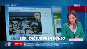 Dupin Quotidien : Les "cactus de la conso" - 04/01