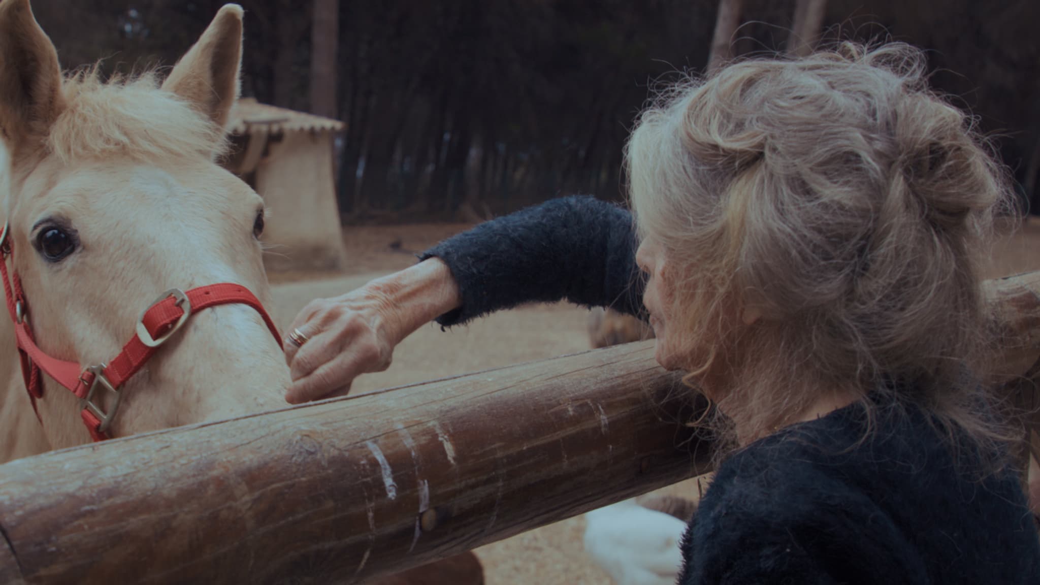 Image de Brigitte Bardot, extraite du documentaire "Bardot", en salle le 3 décembre 2025 Image de Brigitte Bardot, extraite du documentaire "Bardot", en salle le 3 décembre 2025