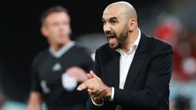 Walid Regragui donne de la voix lors d'un match du Maroc au Mondial 2022