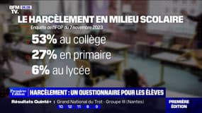 Harcèlement scolaire: des questionnaires anonymes distribués aux élèves du CE2 à la terminale "pour évaluer s'ils sont susceptibles d'être victimes"