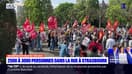 Manifestation du 1er-Mai: entre 2.500 et 3.000 personnes dans les rues de Strasbourg