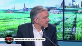 Le Grand Prix de l'Elysée: Benoît Hamon dénonce les planteurs de couteaux dans son dos - 27/03