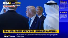 Abou Dabi: Donald Trump participe au Forum d'affaires États-Unis - Émirats arabes unis