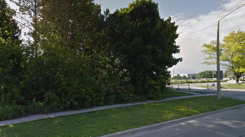 L'entrée du tunnel a été découvert dans ce bois, aux abords d'un stade et d'un campus universitaire.