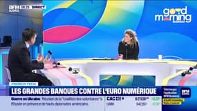 L'Euro numérique : un enjeu de souveraineté 