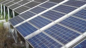 Les professionnels du photovoltaïque s'opposent aux propositions gouvernementales
