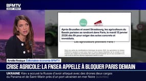 Colère agricole: la FNSEA appelle à bloquer Paris ce 13 janvier