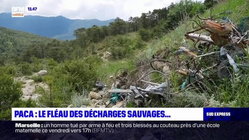 Le fléau des décharges sauvages en Provence-Alpes-Côte d'Azur