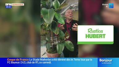 Jardinage, Titanic et Jeux vidéo...- La météo de Colas du mardi 18 novembre 2025