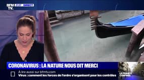 Coronavirus: la nature nous dit merci - 18/03