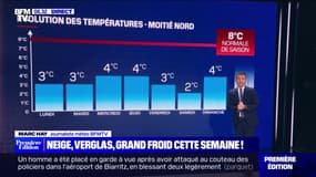 Le froid va persister partout en France cette semaine, apportant des gelées et de la neige
