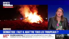 Dermatose bovine: "Il faut revoir et faire évoluer les règles" européennes sur la circulation et le commerce du bétail, estime Karine Daniel, spécialiste économie agricole et agroalimentaire