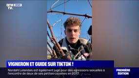 Emile Coddens, le vigneron qui cartonne sur TikTok