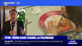 Polémique du menu sans viande: "Ce gouvernement a un problème avec l'écologie", selon le président EELV de la Métropole de Lyon