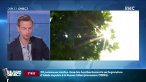 Canicule: jusqu'à 43 degrés attendus sur certains secteurs 