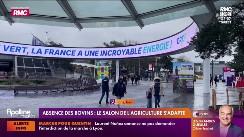 Salon de l’Agriculture 2026 : une édition historique… sans bovins à Paris