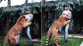 Lewis Hamilton et son ami le tigre