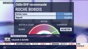 Pépites & Pipeaux: Roche Bobois - 08/07