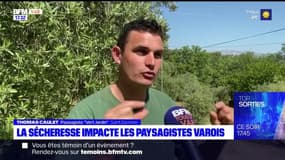 Sécheresse dans le Var: les paysagistes s'adaptent 