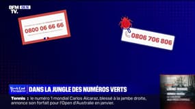 Aides aux entreprises, Covid-19, impôts... Dans la jungle des numéros verts lancés par le gouvernement