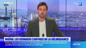 Rhône: le point sur les chiffres de la délinquance et de la criminalité en 2024