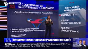 Le Coq Sportif, ArcelorMittal... Des fleurons de l'industrie menacés