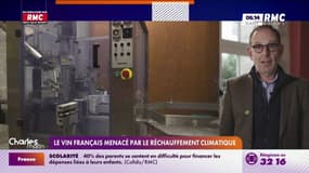 Le vin français menacé par le réchauffement climatique