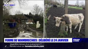 Ferme de Wambrechies: le délibéré attendu le 24 janvier