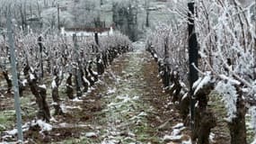 Des vignes dans le Beaujolais