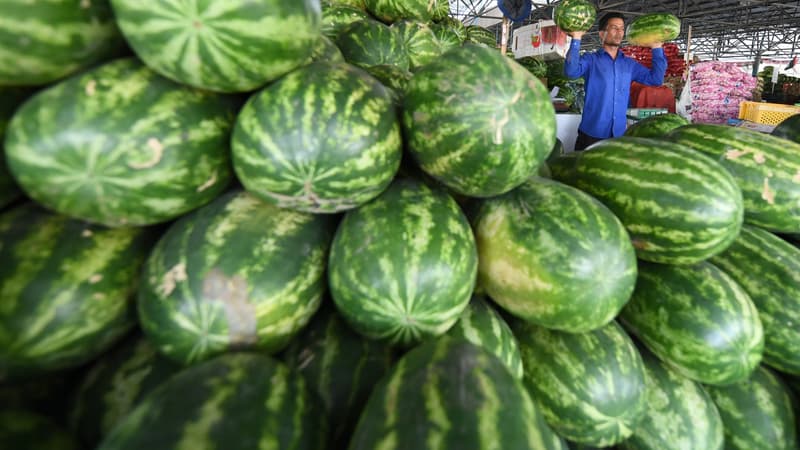 La victime travaillait dans une exploitation produisant des pastèques. 