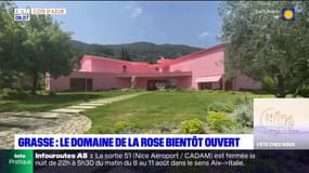 Grasse: le Domaine de la Rose de Lancôme bientôt ouvert au public
