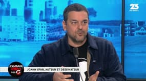 Liberté d'expression: "On dirait que les gens ne veulent plus d'artistes", s'alarme Joann Sfar
