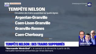 Tempête Nelson en Normandie: plusieurs lignes de train suspendues, Enedis appelle à la précaution