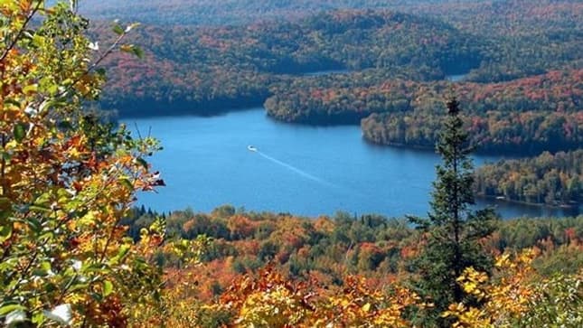 Île du Lac-des-Grandes-Baies