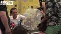 Tour de France : Quand des journalistes offrent un canari à Contador ! 