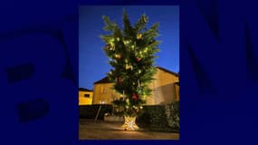 Le sapin de Noël 2024 de la commune de Pomport a la tête à l'envers. Une manière pour les membres du Conseil municipal et les habitants d'apporter leur soutien aux agriculteurs "en pleine souffrance du fait des aléas climatiques à répétition, des prix bas, de la concurrence déloyale, et de l'insuffisance de soutien des pouvoirs publics". 
