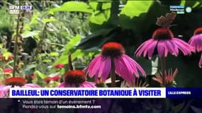 Cap au Nord: un Conservatoire botanique à visiter à Bailleul