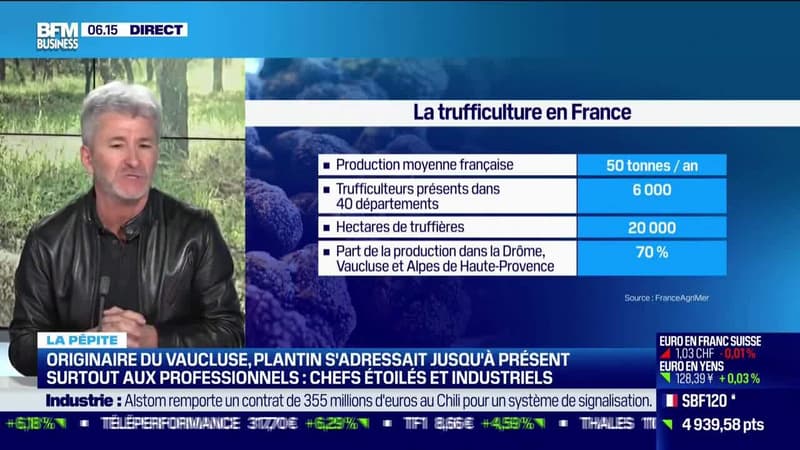 La pépite: Plantin, premier vendeur de tuber melanosporium, truffe d'Alba et autres en Frances, par Lorraine Goumot - 10/03