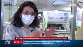 Covid-19: comment détecter le variant Anglais?