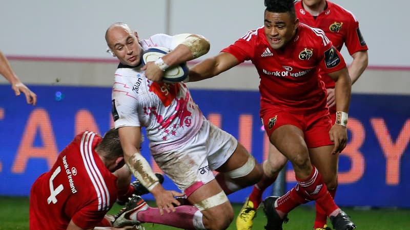Sergio Parisse (Stade Français)