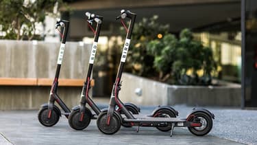 La start-up Bird a été créée il y a un an par un ancien d'Uber