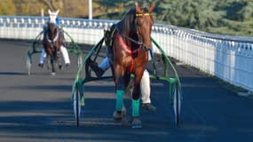 Davidson du Pont conserve son titre