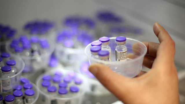 Doses du vaccin Pfizer.