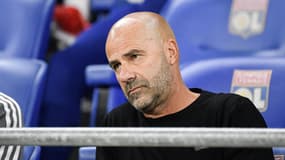 Peter Bosz à Lyon en septembre 2021