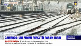 Calvados: une femme percutée par un train sur la ligne Cherbourg-Paris