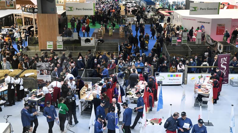 Le Salon international de l'agriculture en 2022 (image d'illustration)